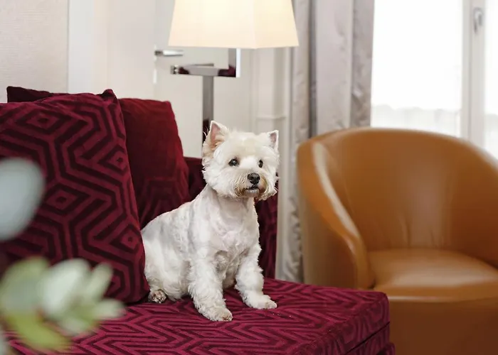 أوبرا ريتشيبانسي 4*